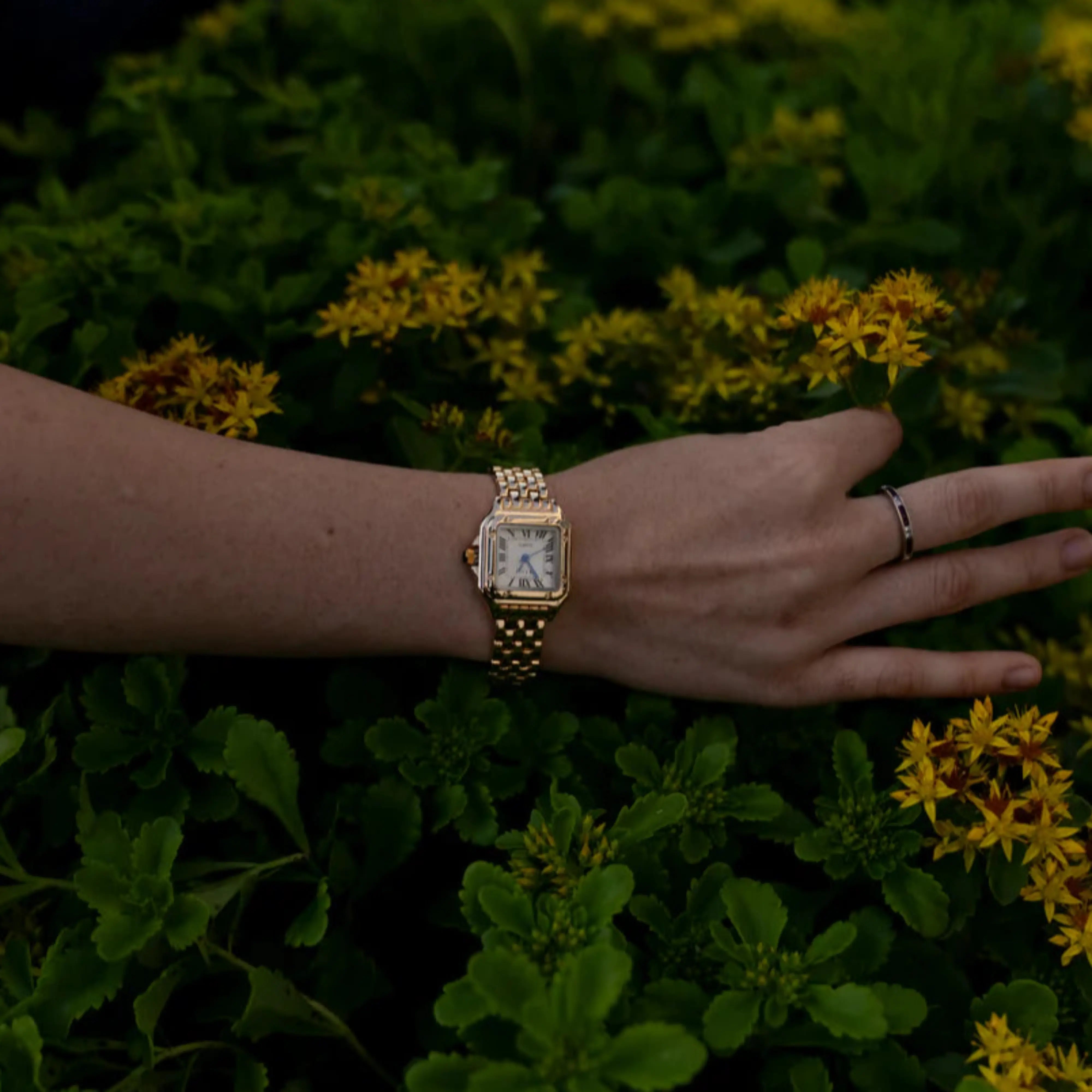 Leonie – Gold watch with square case.